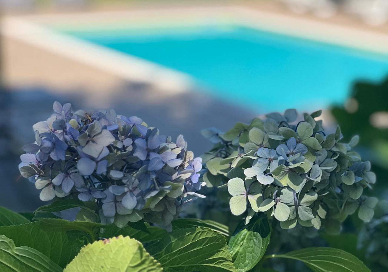 Casa Moinho Da Mouta Διαμέρισμα Parada de Pinhão Εξωτερικό φωτογραφία